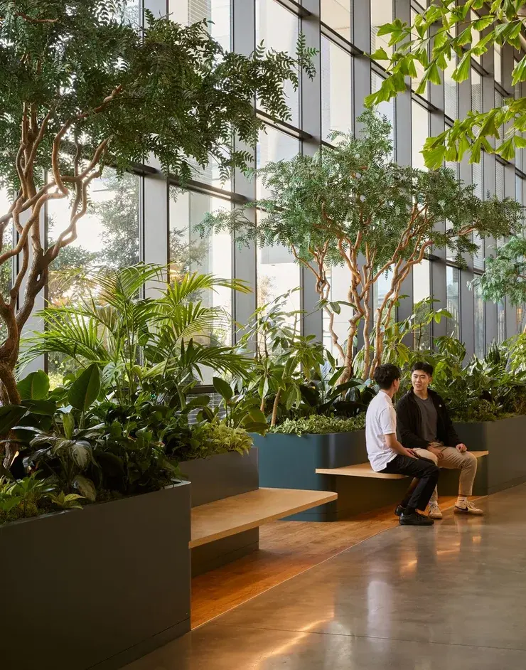 Two young men talking on a bench in a bright atrium full of plants